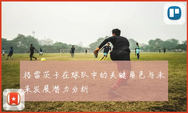 格雷茨卡在球队中的关键角色与未来发展潜力分析