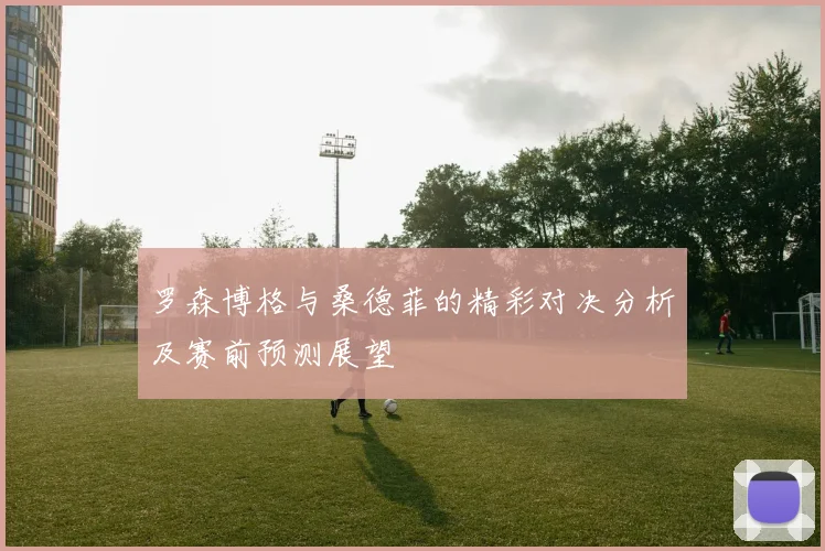 罗森博格与桑德菲的精彩对决分析及赛前预测展望