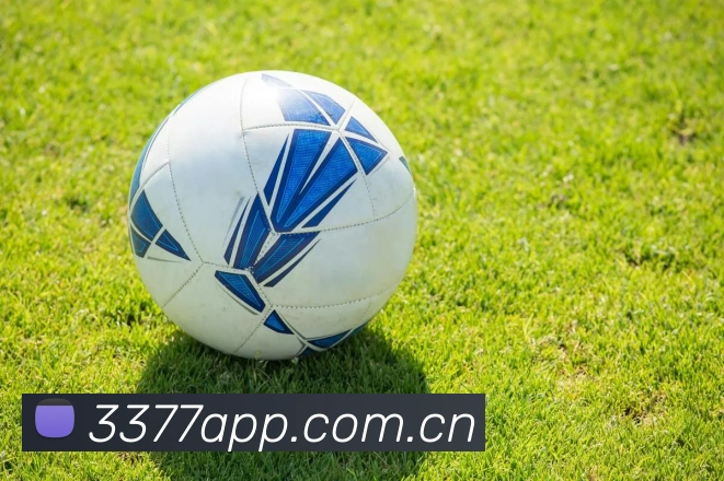 3377体育品牌故事