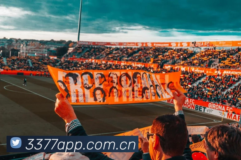 3377体育服务体系